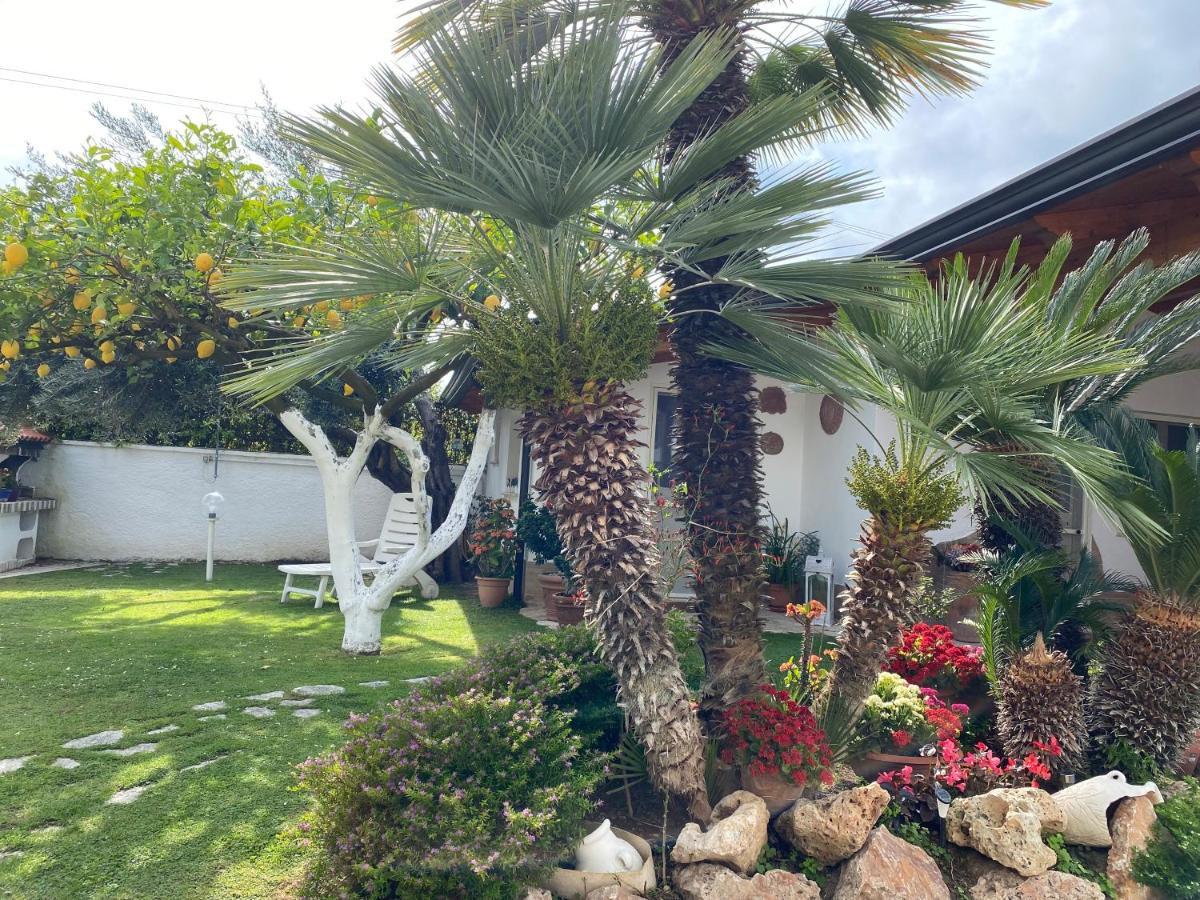 Villa Cecilia Bed And Breakfast Cellole Exterior photo